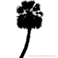 Picture of Palm Tree  4 (Vinyl Wall Decals: Tree Silhouettes)